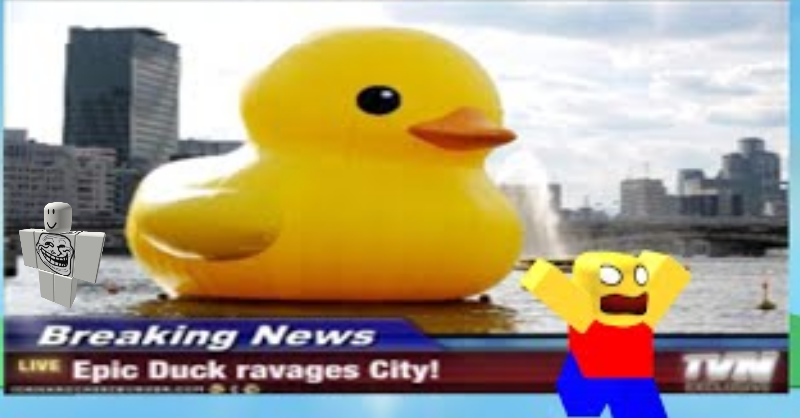 reiitanaka's tweet photo. TEH EPIC DUCK IS HERE https://t.co/2MQuhlLfYN