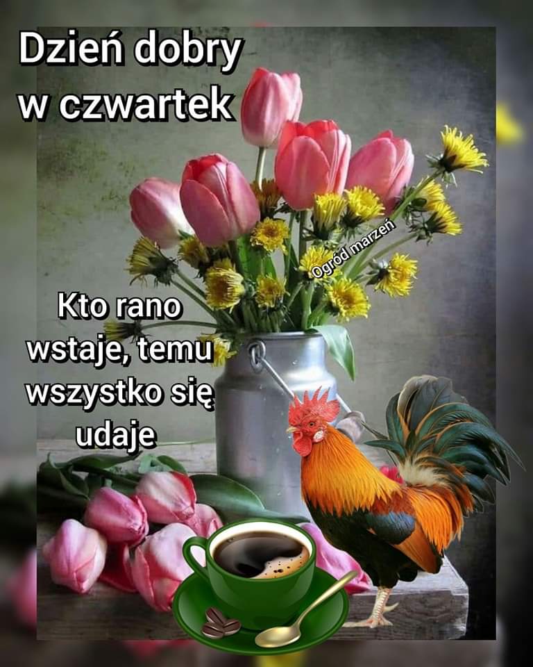 CreativeHarder's tweet photo. #smacznejkawusi https://t.co/vRFgGkRw3p