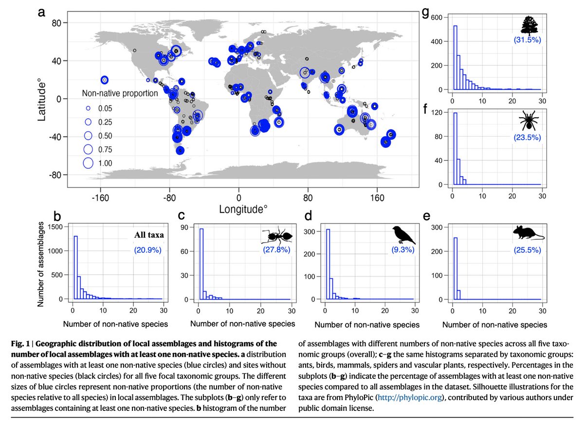 Our latest paper on NC @NatureComms  is out:   Thanks for all of co-authors. @FranzEssl1, @Bernd_le_ , @TimBlackburn66,@WayneDawsonEco, @sMarten_Winter, @AndyPurvisNHM, @HannoSeebens ,@JanPergl , @BioGeoKreft,@Ellie_E_Dyer ,@carlo_rondinini,@Weigelt_P