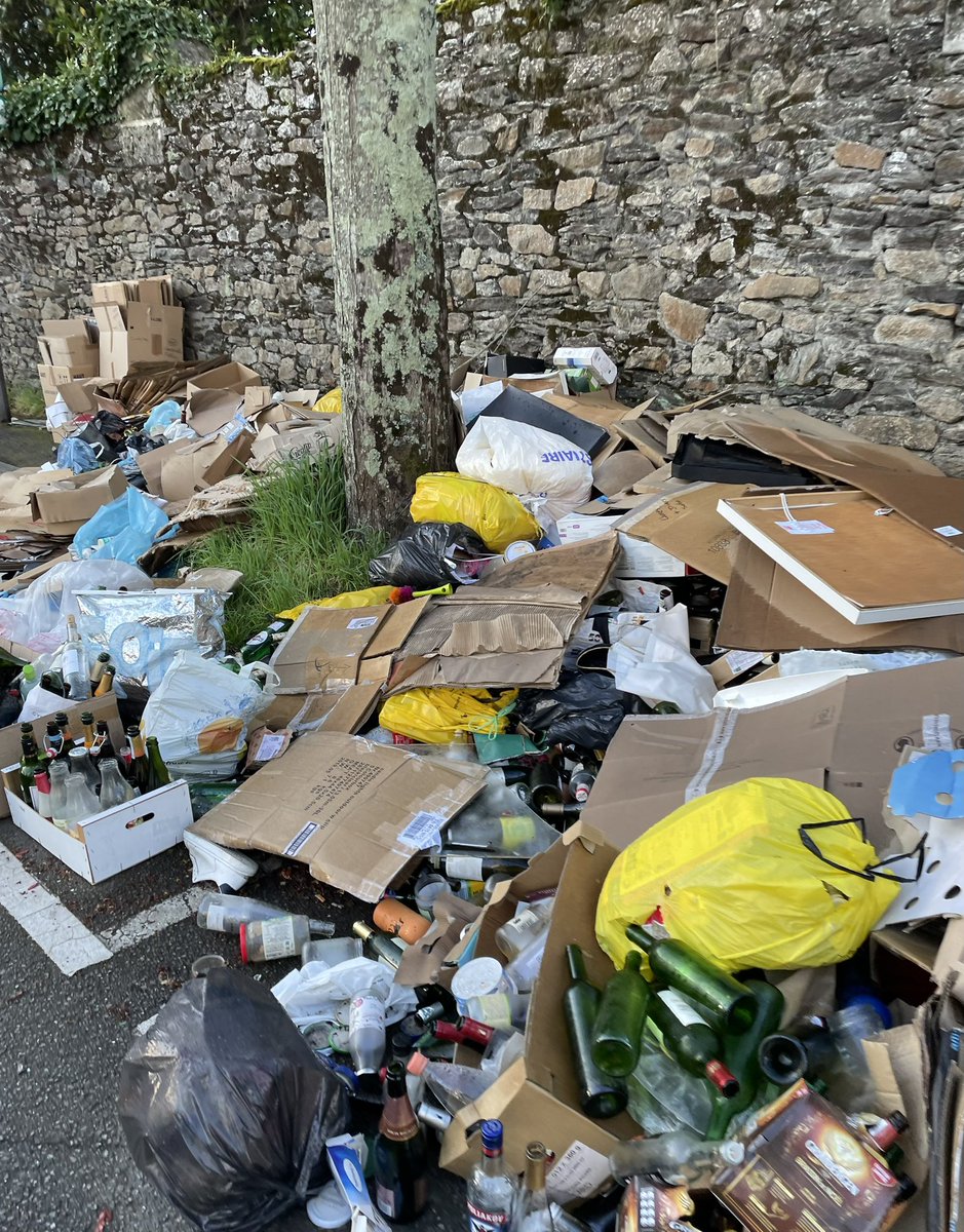 stloutrel's tweet photo. @Johanna_Rolland , @NantesMetropole @nantesfr jolie ville ce matin, comme depuis qq semaines… à qq jours des vacances scolaires et une semaine du semi-marathon. Belle image ! https://t.co/GpOzg1S55Y