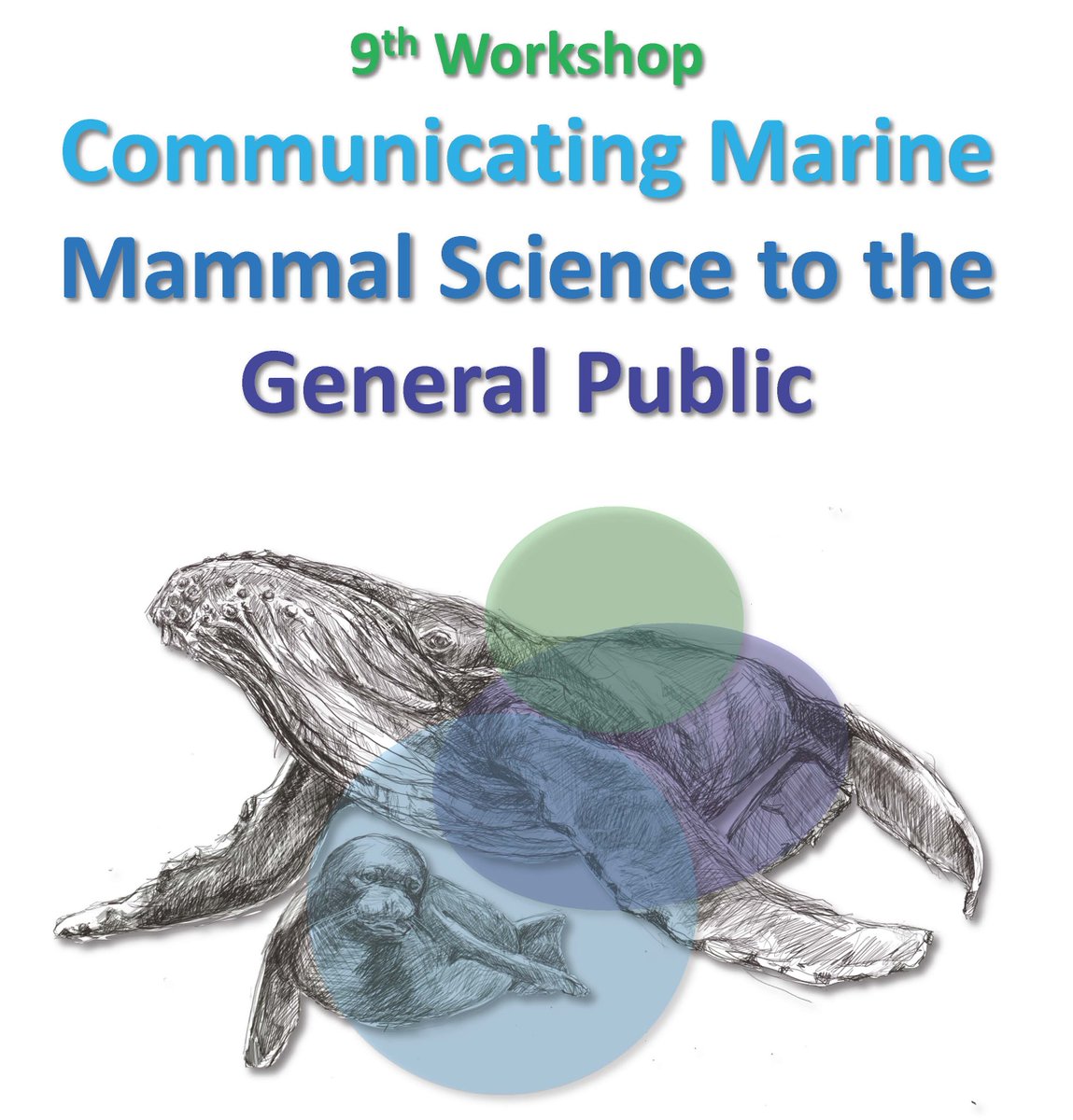 IEOVigo's tweet image. En el marco de la #ECSConference2023 de @EuroCetSoc, el lunes tendrá lugar en O Grove el 9º workshop &quot;Comunicating marine mammal science to the general public&quot;, que coorganiza nuestra compañera @ghmilian 

Programa ➡️bit.ly/3zRL8v5