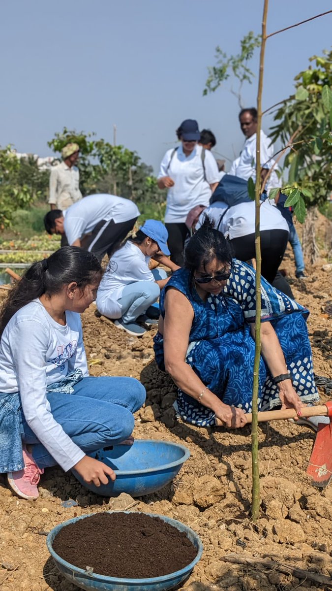 VCLSsocial's tweet photo. [ Community ] Images from our tree planting initiative last weekend in Bengaluru, where we partnered with non-profit Hands On CSR to plant over 100 trees in the area to aid in #sustainability! https://t.co/2Su1MCbBBc