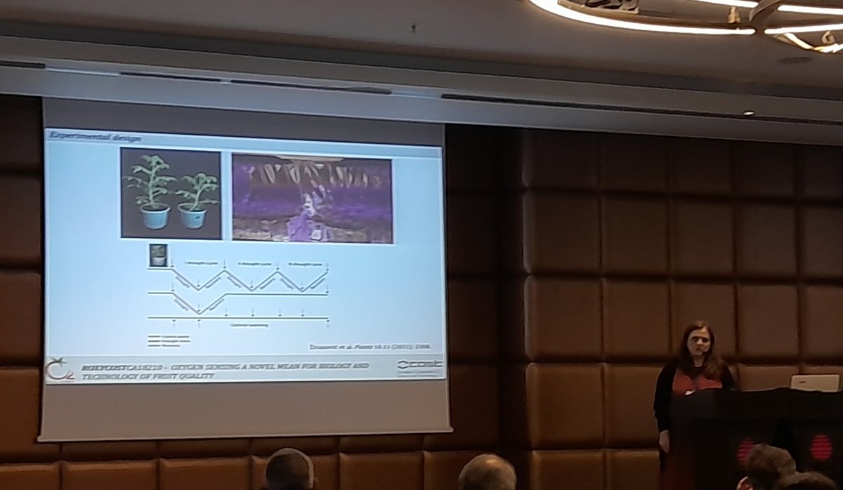 kralj_urocnjak's tweet photo. My colleague, and a friend, Bojana Živanović talking about her research at #RoxyCost 3rd annual meeting. 👏👏👏 https://t.co/kumLC4IbaN
