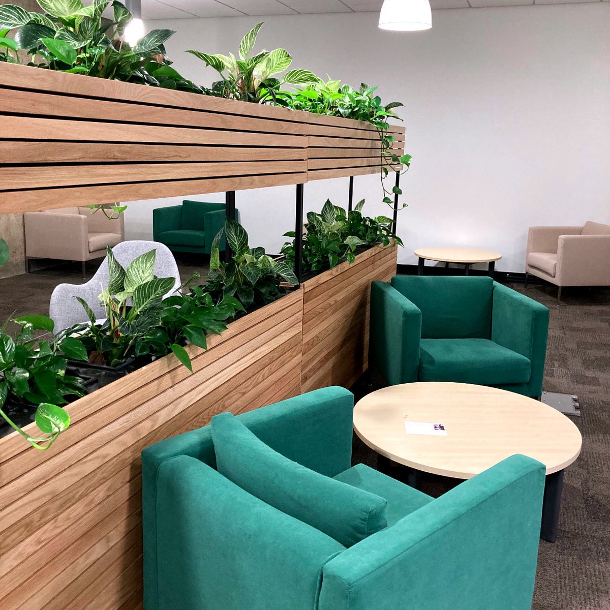 UEALibrary's tweet photo. Want to get out of your student accommodation for a while? 

There's plenty of cosy spots in the Library where you can curl up with a good book. 😍

We've even got blankets on Floor 0 available to borrow! 

#UEALibrary #LibraryLife #LibraryLove #CosyLibrary #UEA #UEAStudents https://t.co/IP5UfCKjZA