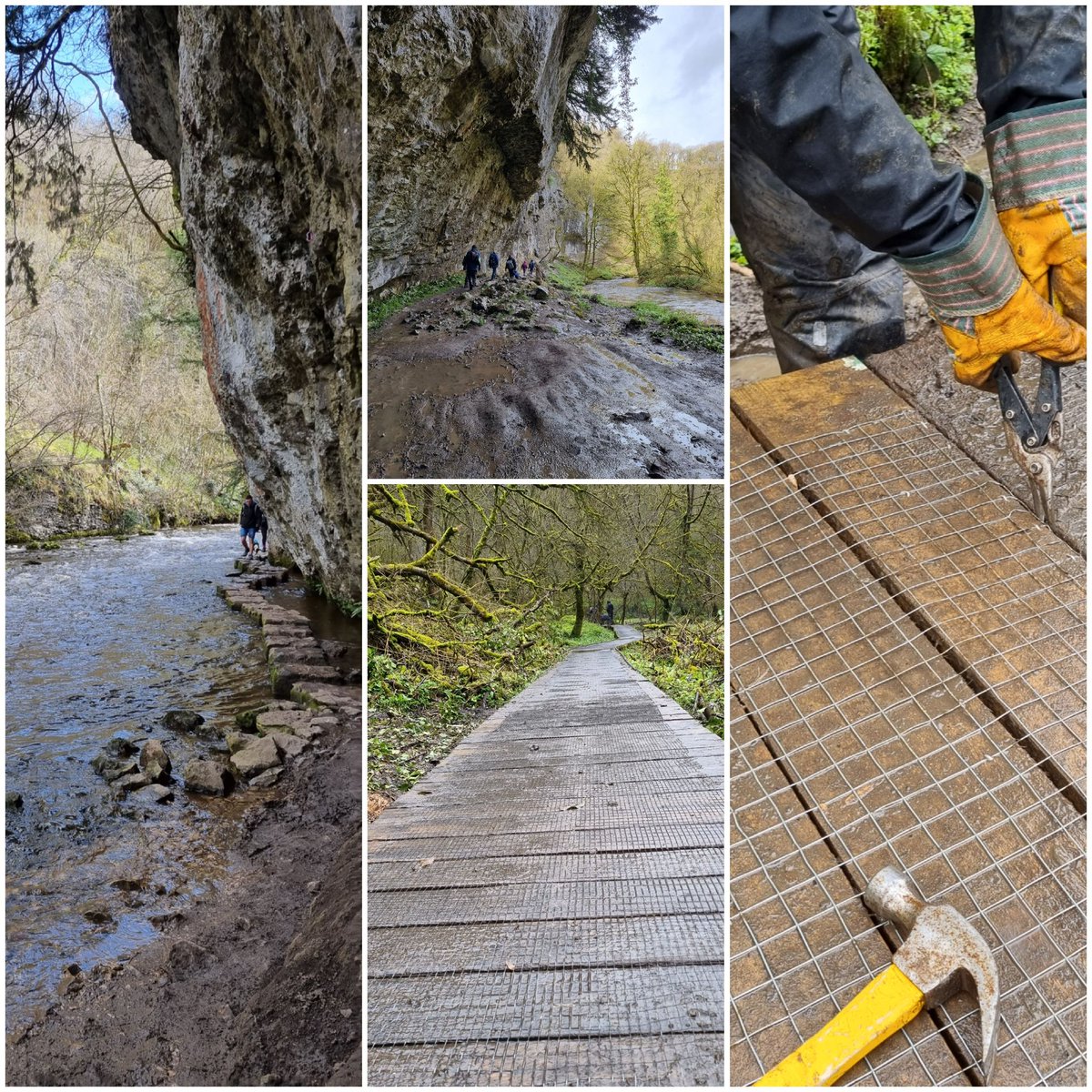 GillianFoxcroft's tweet photo. Wet, muddy and cold..shifting the old timber out of the dale...but saw some very confiding dippers, enjoyed splendid scenery and the boardwalk is revived
@DerbysWildlife #CheeDale
#NotWhatTheDriftersHadInMind
"Oh when the sun beats down....under the boardwalk, down by the sea..." https://t.co/SQMOgdZTmW