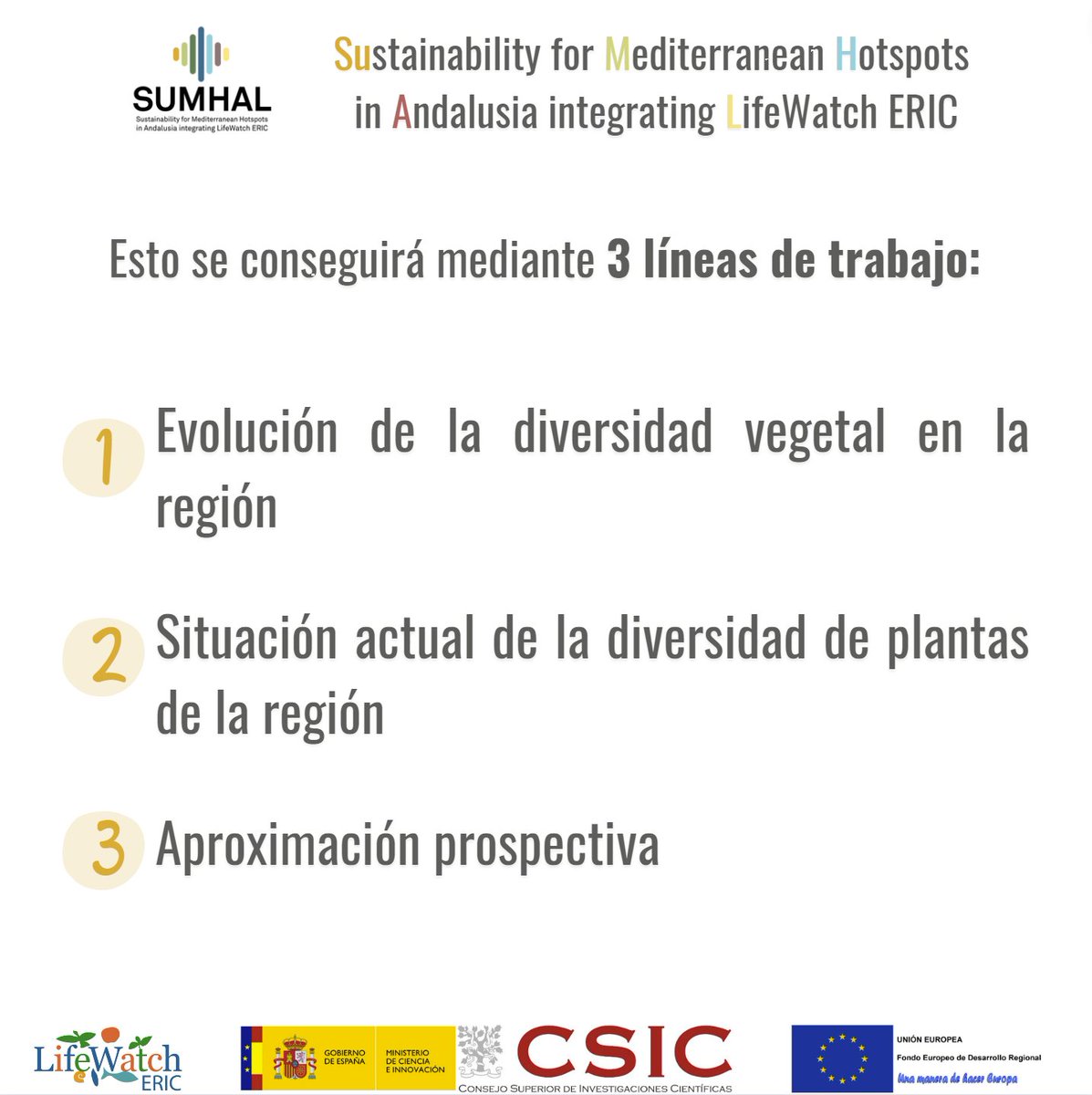 SUMHAL_CSIC's tweet photo. Hoy finalizamos la presentación de los distintos paquetes de trabajo del #ProyectoLifeWatchERICSUMHAL 

Esta vez toca el #WP9

#divulgacionSUMHAL

@LifeWatchERIC @CSIC_VAACT @CSIC @CSICAndalExtrem @LifeWatchSpain @ebdonana #EEZA https://t.co/29fLpNiB3b