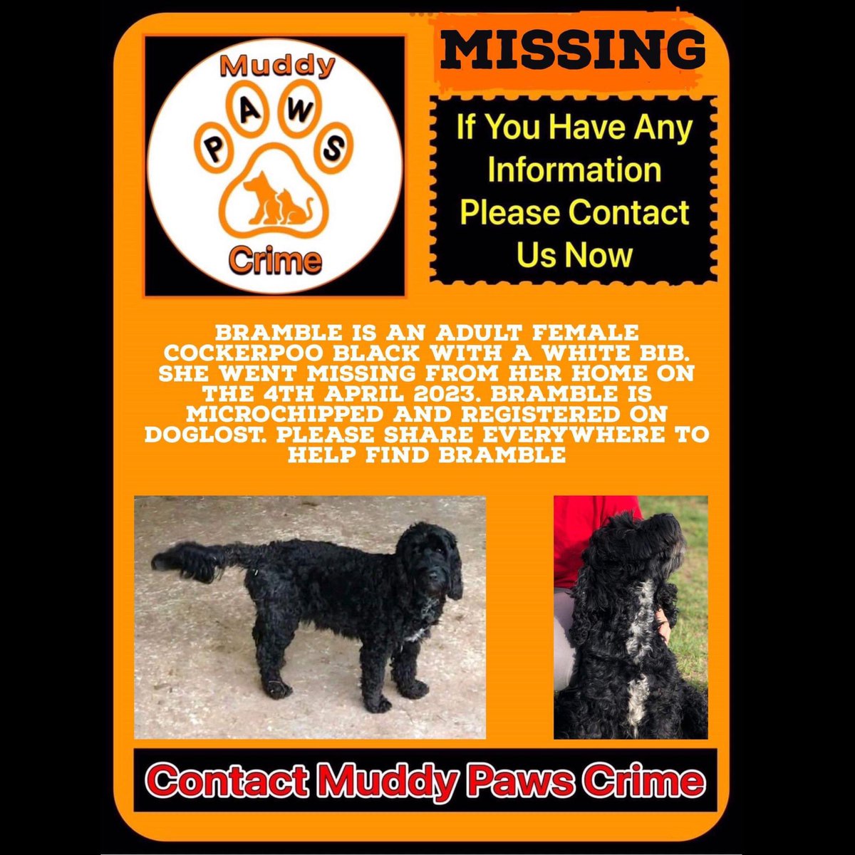 KarenFi51820768's tweet photo. Still missing 😭😭 please keep looking to #FindBramble #RT https://t.co/zFMApY6o6N