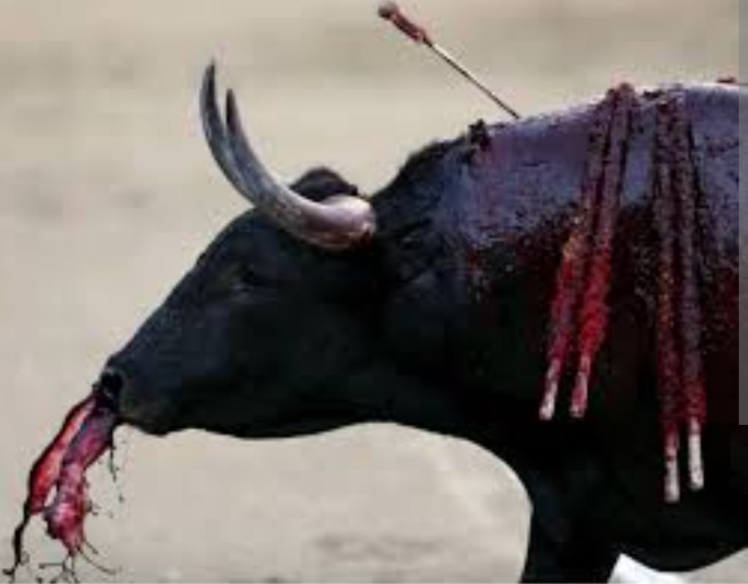 Orlando Beltrán Quesada Ⓥ 🐕🐐🐥🐓🐃🐎🐖🐂🐈 (@orlandobeltranq) on Twitter photo Gran razón tiene <a href="/JuanKarloslos/">Juan Carlos Losada</a>
Resultan INCOHERENTES <a href="/MinHacienda/">MinHacienda</a> <a href="/MintrabajoCol/">MinTrabajo</a> <a href="/mincultura/">MinCultura Colombia</a> al oponerse a PL para acabar con las violentas, sangrientas corridas.
Posición de <a href="/petrogustavo/">Gustavo Petro</a> ha sido en contra de esa bárbara diversión.
¿Qué pasa, señor Presidente? <a href="/COLSinToreo/">Colombia Sin Toreo</a> Gran razón tiene <a href="/JuanKarloslos/">Juan Carlos Losada</a>
Resultan INCOHERENTES <a href="/MinHacienda/">MinHacienda</a> <a href="/MintrabajoCol/">MinTrabajo</a> <a href="/mincultura/">MinCultura Colombia</a> al oponerse a PL para acabar con las violentas, sangrientas corridas.
Posición de <a href="/petrogustavo/">Gustavo Petro</a> ha sido en contra de esa bárbara diversión.
¿Qué pasa, señor Presidente? <a href="/COLSinToreo/">Colombia Sin Toreo</a>