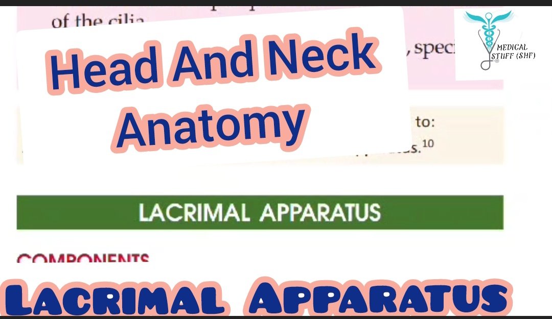 Medicalstuffshf's tweet photo. Visit YouTube channel https://t.co/v2xJNcu0U8

Get All the Guidlines About MBBS BDS pharmacy subjcts At one platform.
Follow fb page and insta too
#MBBS #BDS #anatomy #headandneckanatomy https://t.co/AfrvSsnMKW