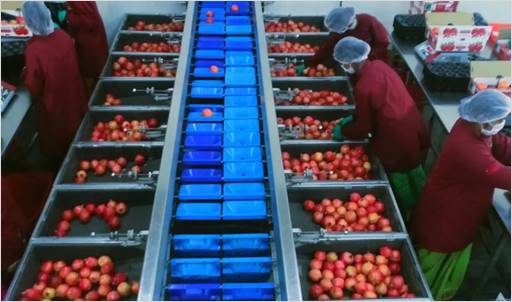 AavishkaarVC's tweet photo. ESG First Fund, managed by @AavishkaarVC
part of @AavishkaarGrp in partnership with
@KfW_FZ_int announced their first investment of INR 16 Crores (1.95 Million USD) into INI Farms today.  

Read the exclusive story by @DealStreetAsia
- https://t.co/1SCh4GxTAd https://t.co/poo6Wra10F