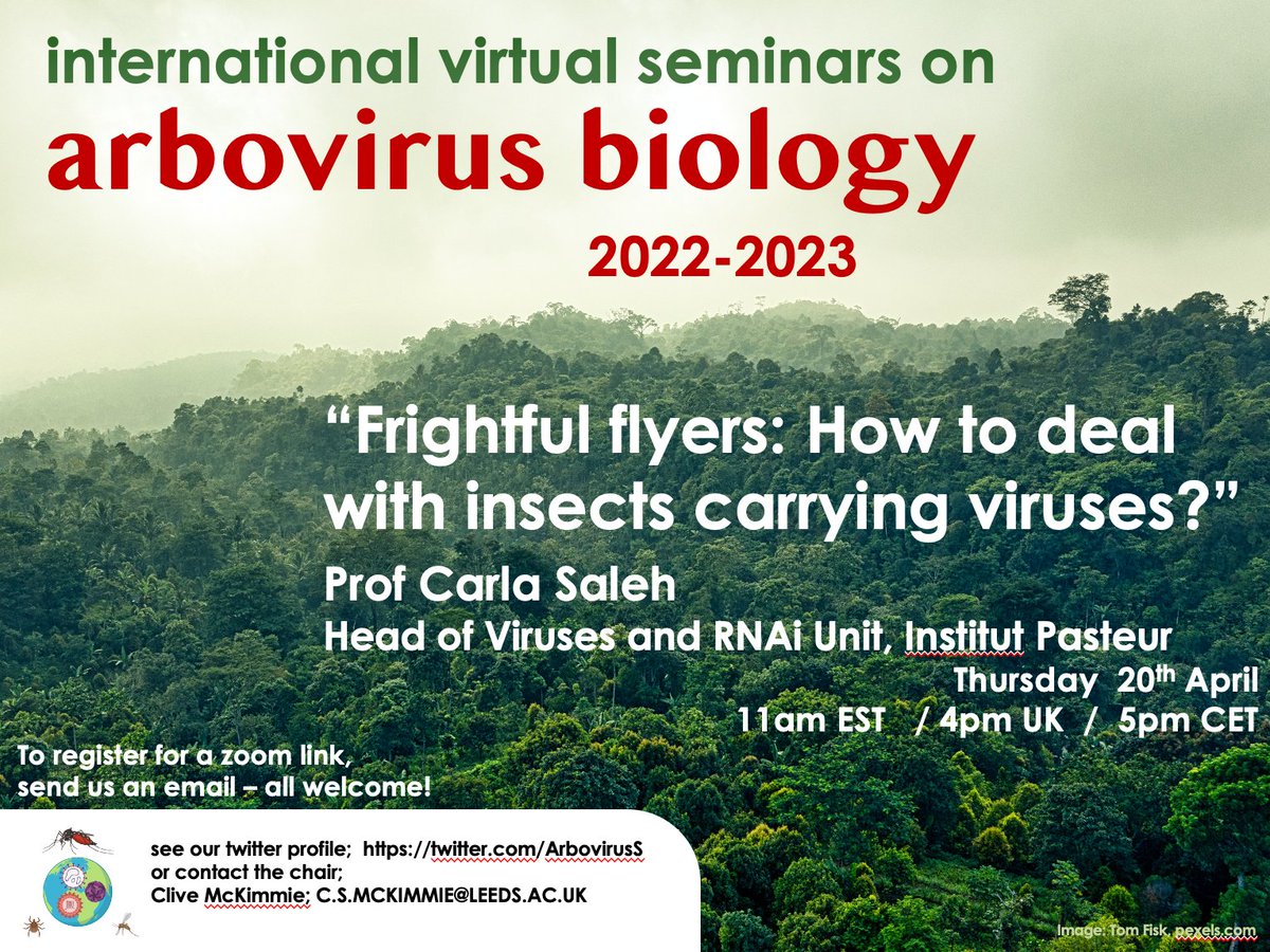 Arbovirus Seminars tweet media