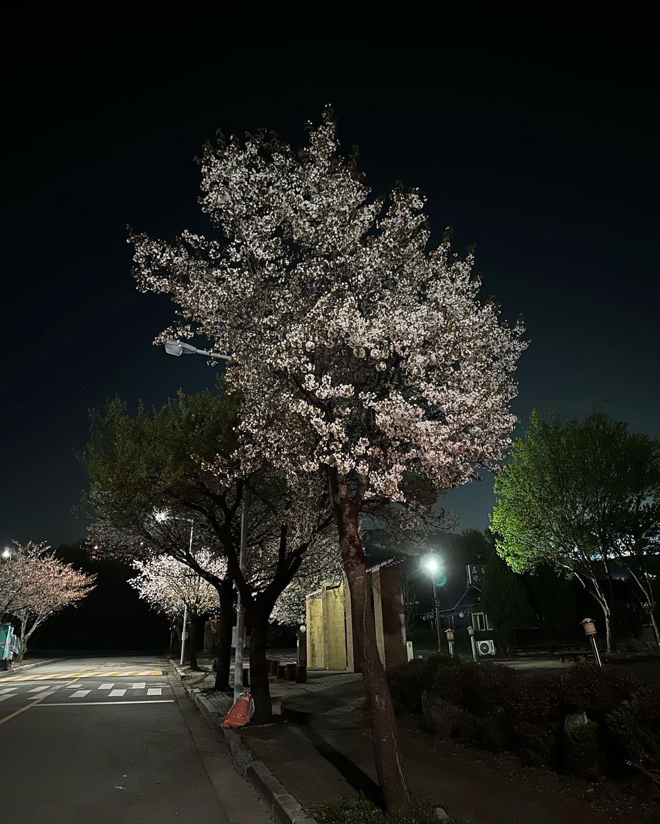 kimsungcheol_'s tweet photo. https://t.co/Ly00SbKttG
2023-04-13 16:26:38  (sungcheol2)

#김성철 https://t.co/HeH0jU7quN