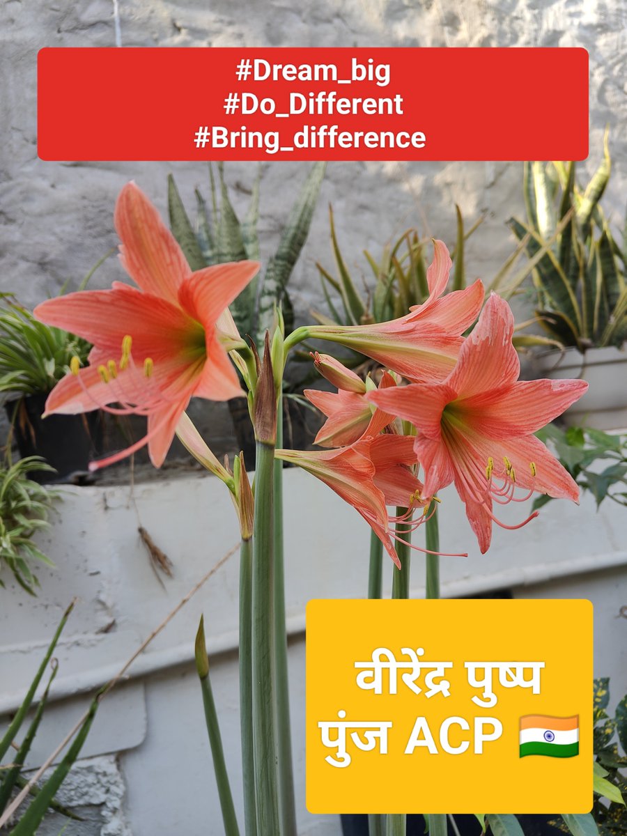 PunjVirendra's tweet photo. #Dream_big
#Do_Different
#Bring_difference https://t.co/URVDeLFY2K