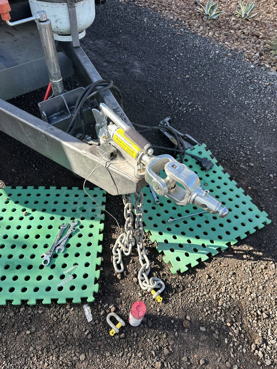 Dion Costigan tweet media