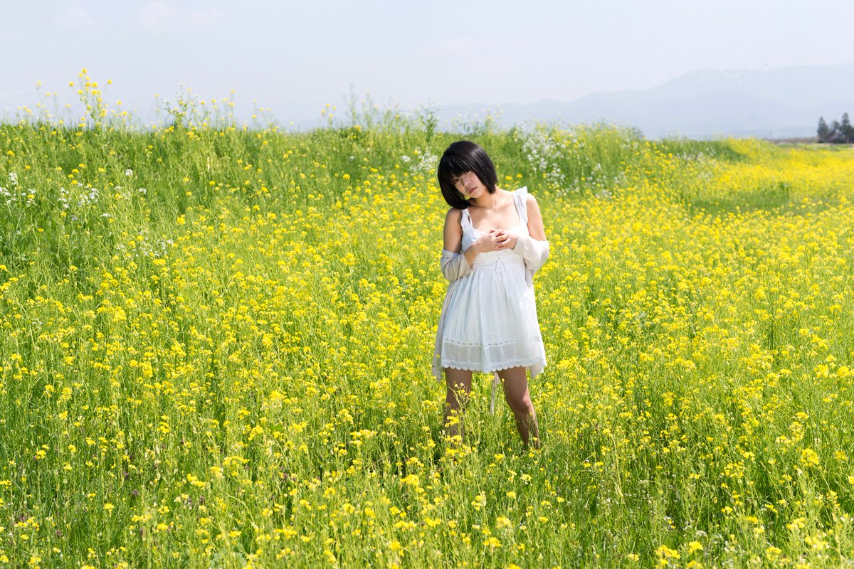 Gon68344659's tweet photo. #PHOTO_ALBUM
#新潟のポートレート
#HOX撮影会
#菜の花
撮影:2015.4.25 ロケ:福島潟 https://t.co/Yro5rfahEp