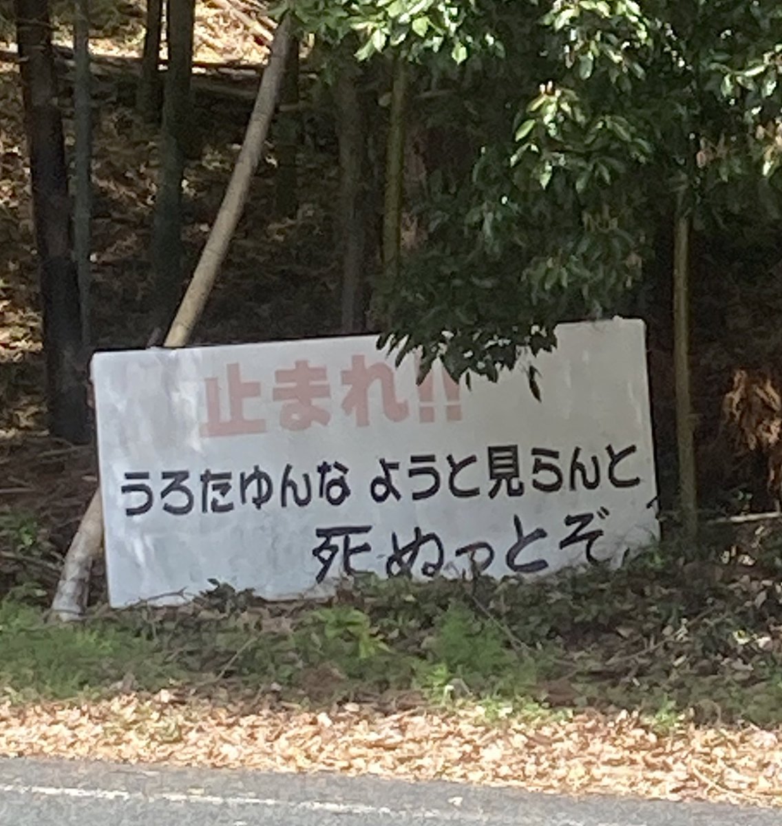 ジュラ (@jjjjmmmmj) on Twitter photo 