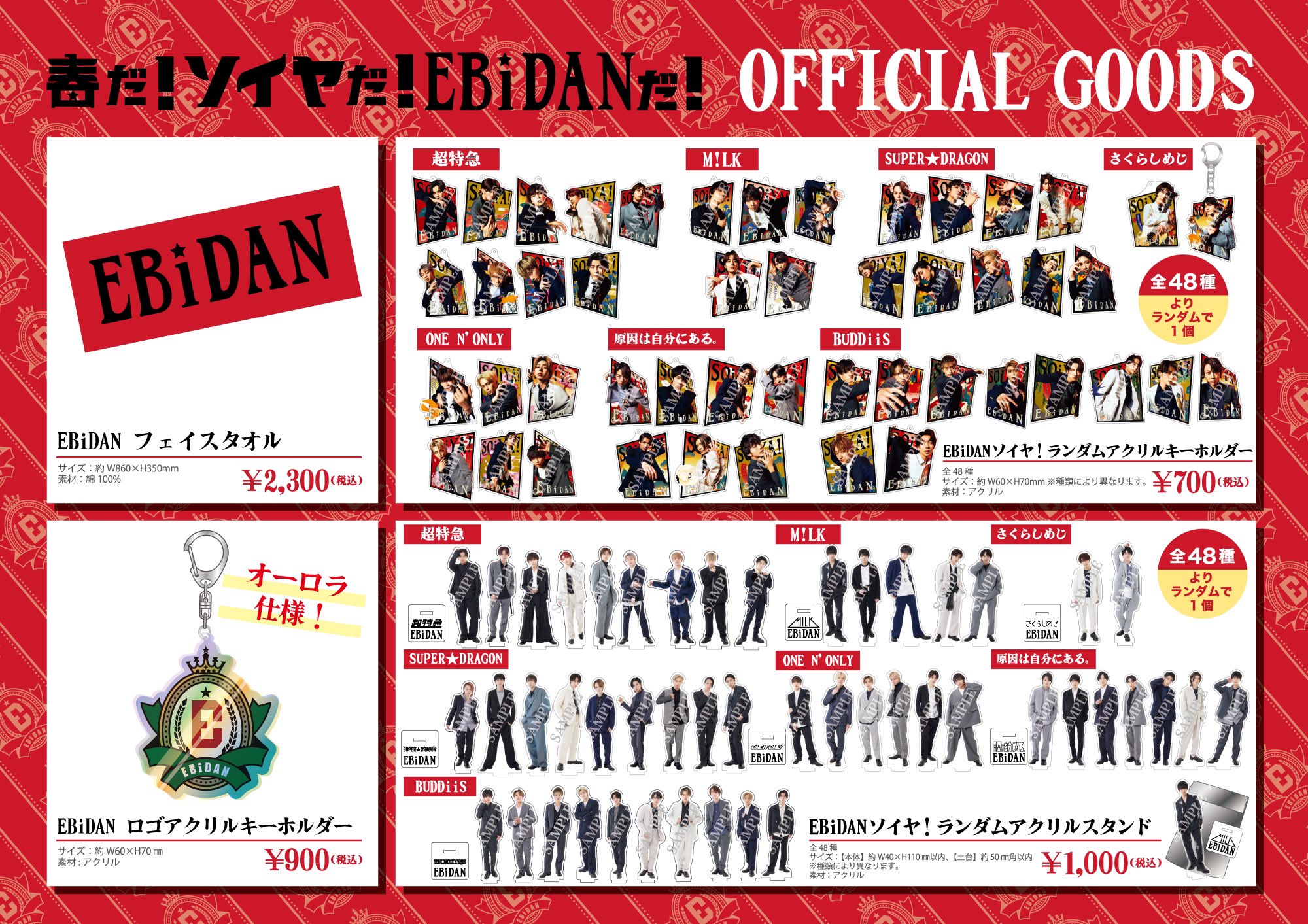 BUDDiiS SHOOT EBiDAN 浸かっ パーカー