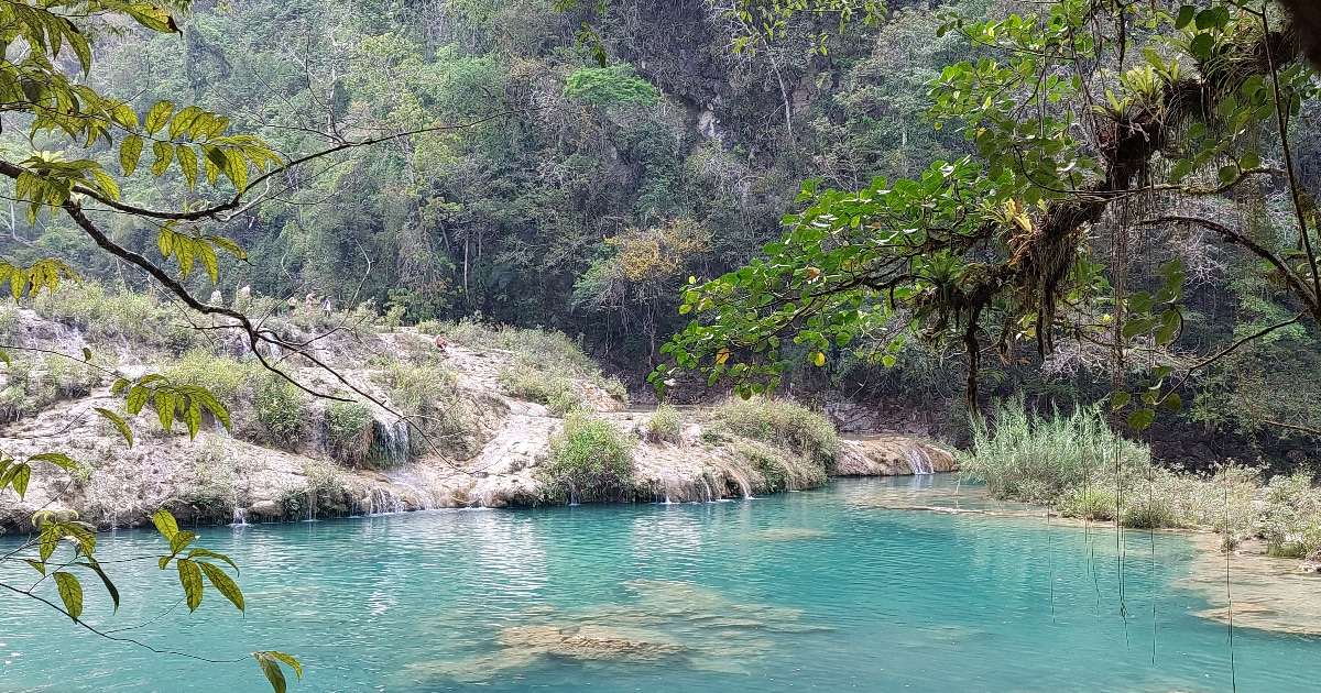 daveandbecca's tweet photo. Beautiful blue lagoons, lush rainforest caves by candlelight and so much more. Check out this post to see if Semuc Champey is up your street and worth the journey into the jungle.

 #travelblog #travelblogging #travelblogger #latinamerica #semucchampey 
https://t.co/AnElkzzA8B https://t.co/NxxmOqKnRj