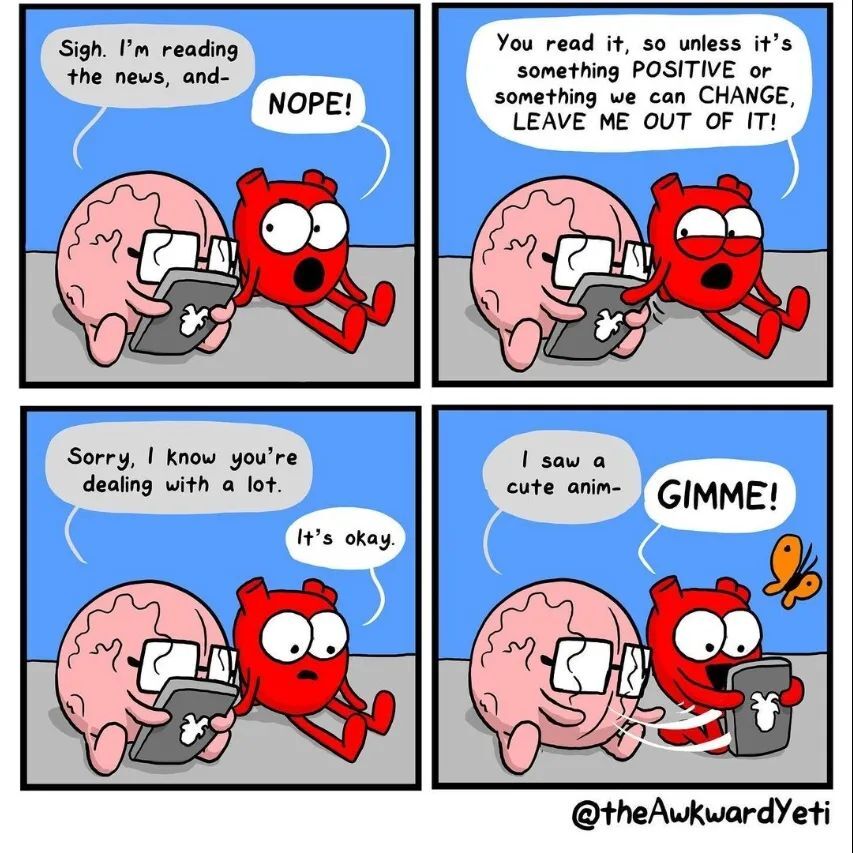 LaughingGirl77's tweet photo. 😂 https://t.co/pwI7O4Srny https://t.co/f5PJs9UwBU