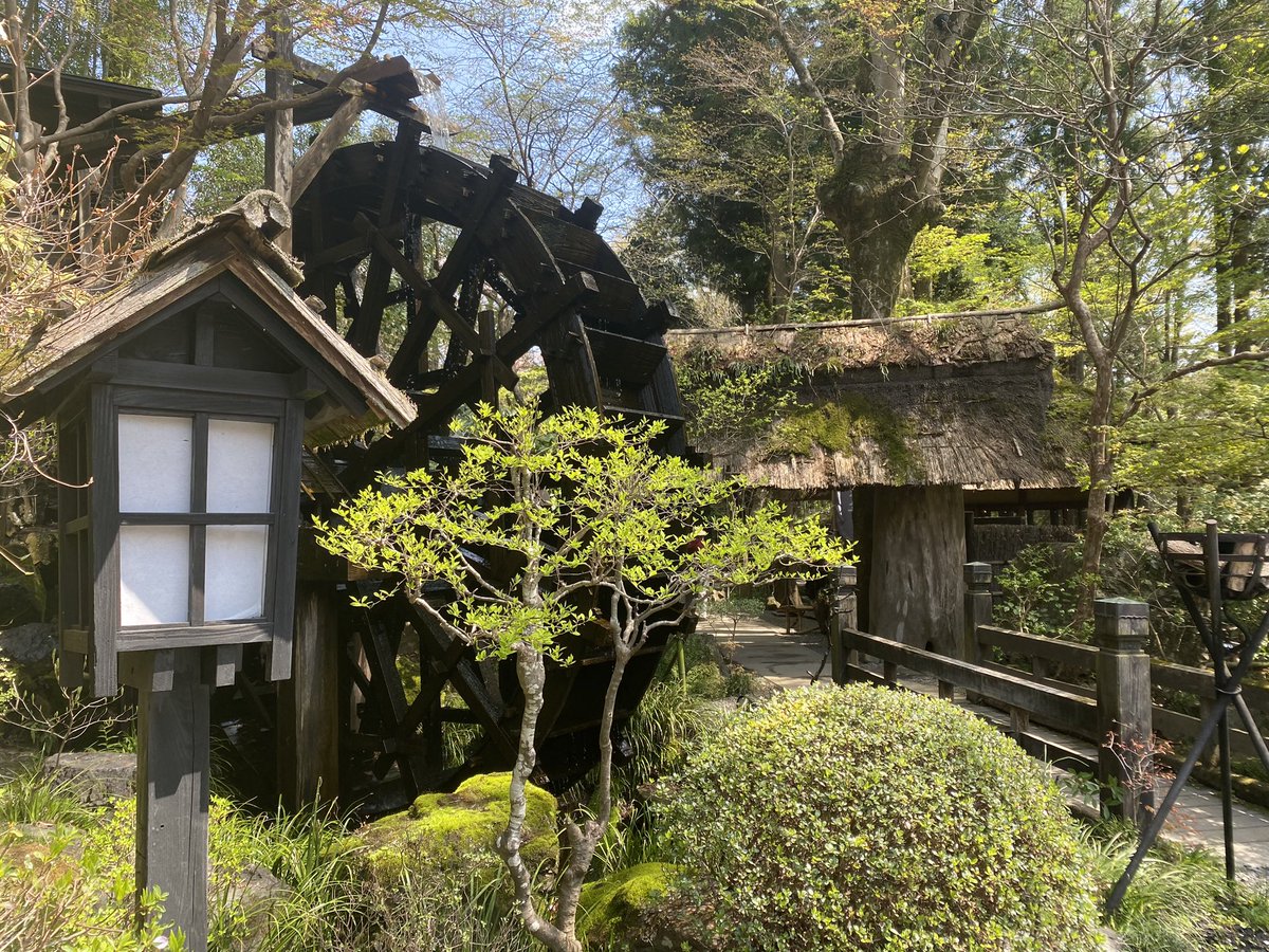 nobukokozu's tweet photo. 花天国からの黒茶屋🌸🌸🌸
大満足

＠kurochaya 
#懐石
#水車
＃花見 https://t.co/x0e123k2Hg