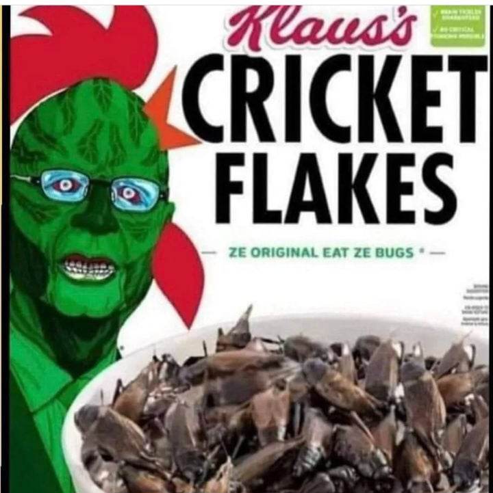 MissionMonday1's tweet photo. Say No to Crickets https://t.co/AjOeoyofqg