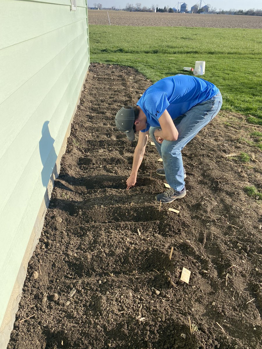 GbmGenetics's tweet photo. Planting has started at GBM Plant Genetics.  Planting “single seed descent plots”. 24 rows of individually unique corn inbreds.  Planted early to screen for cold tolerance and early emergence #plant2023 #corn #plantbreeding  #agriculture #agricultureandfarming #agronomy #plant23 https://t.co/llChHWAl1C
