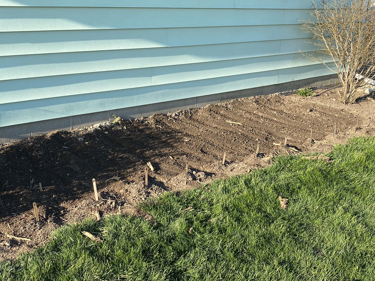 GbmGenetics's tweet photo. Planting has started at GBM Plant Genetics.  Planting “single seed descent plots”. 24 rows of individually unique corn inbreds.  Planted early to screen for cold tolerance and early emergence #plant2023 #corn #plantbreeding  #agriculture #agricultureandfarming #agronomy #plant23 https://t.co/llChHWAl1C