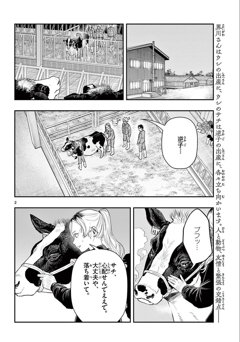 ラストカルテ【更新しました】ウシ②

ウシのお産で活躍するギャル。

1/3 
