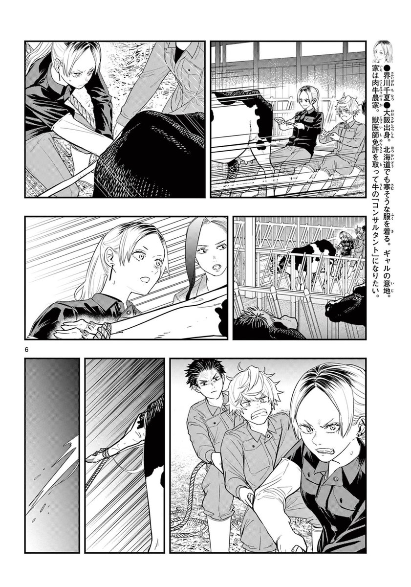 ウシのお産で活躍するギャル。

2/3 