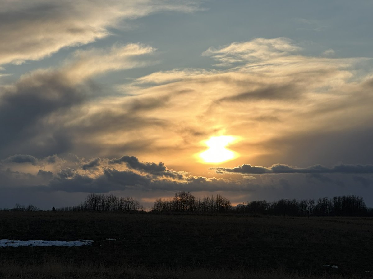 atothedandback's tweet photo. #bigskycountry #rottweiler #twp280 #lookingoutmybackdoor https://t.co/pbgOvuWSet