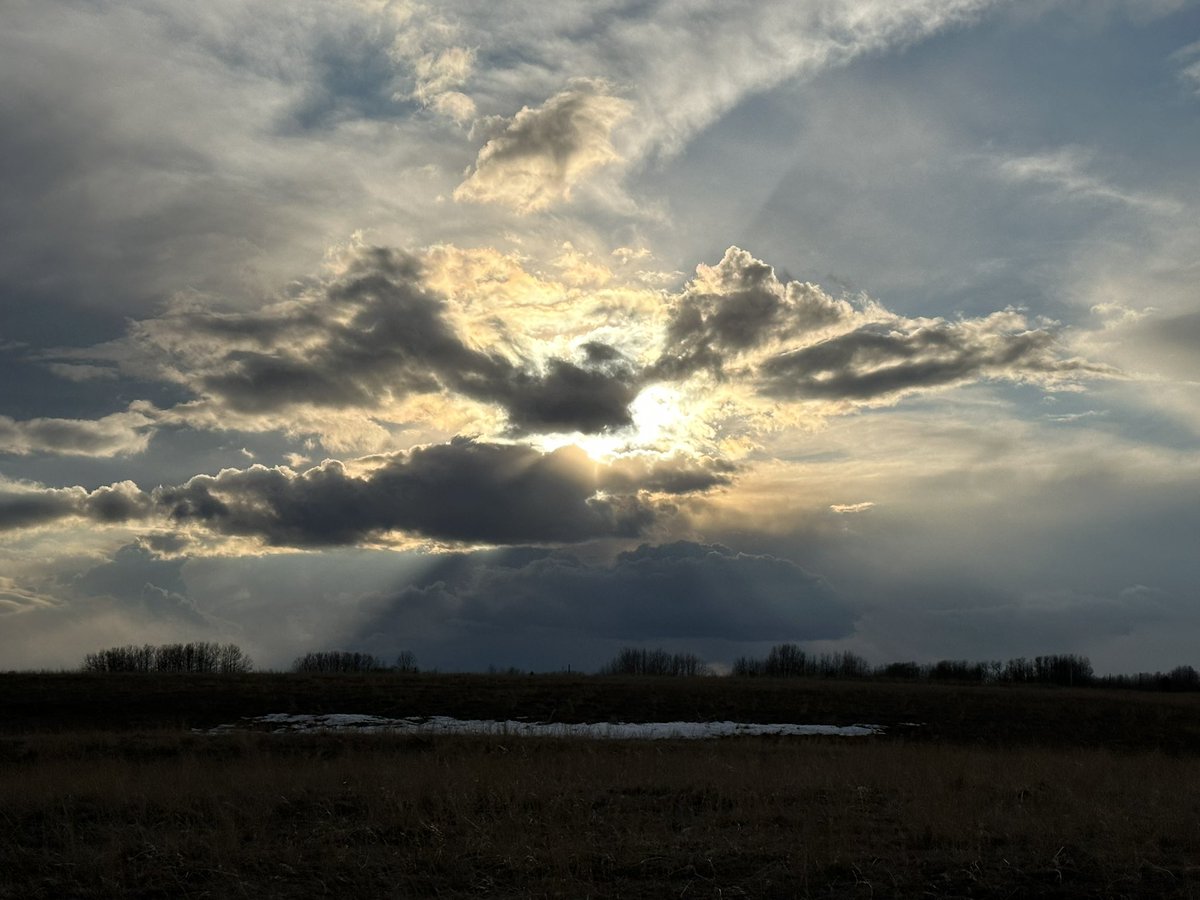 atothedandback's tweet photo. #bigskycountry #rottweiler #twp280 #lookingoutmybackdoor https://t.co/pbgOvuWSet