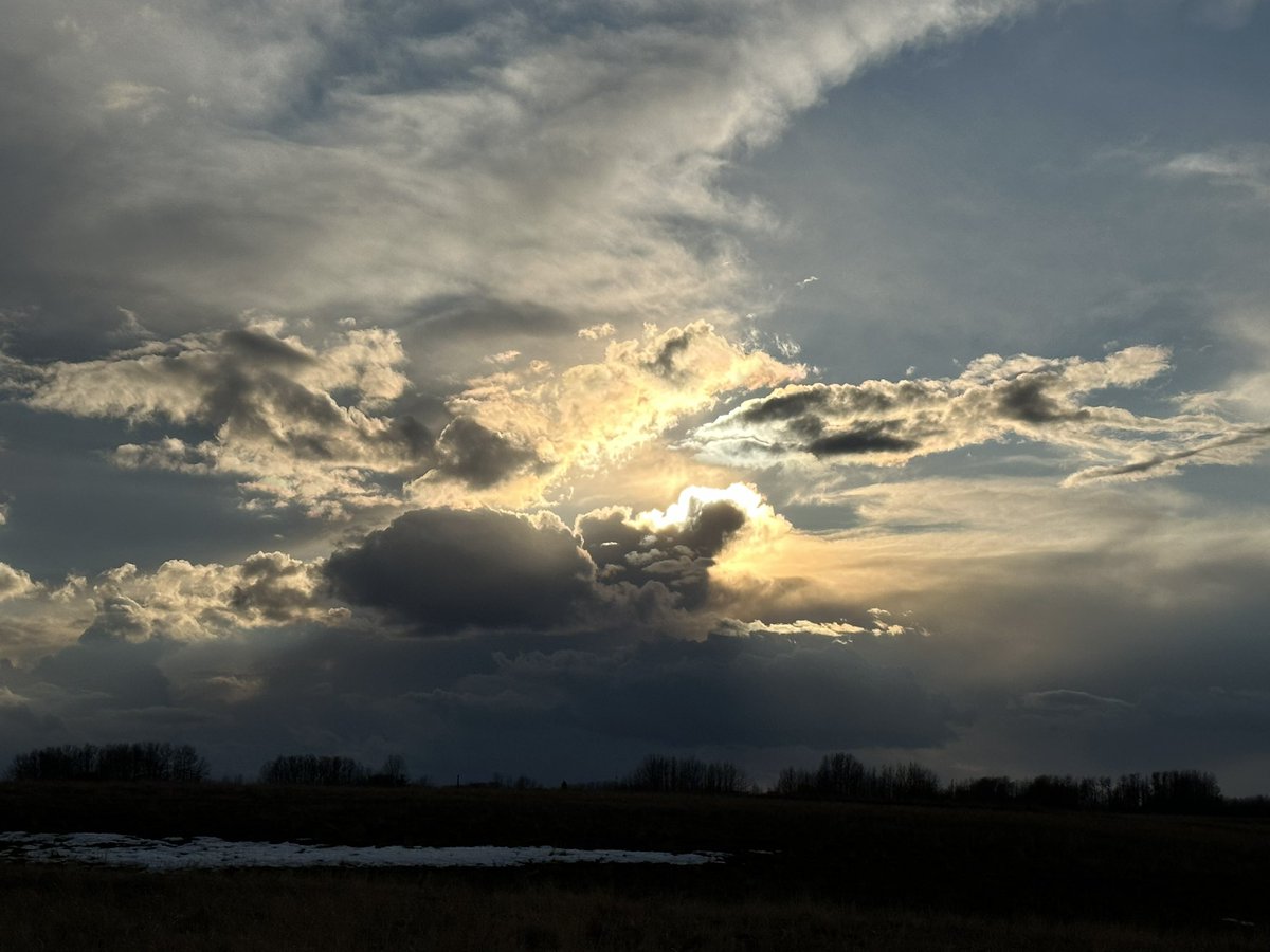 atothedandback's tweet photo. #bigskycountry #rottweiler #twp280 #lookingoutmybackdoor https://t.co/pbgOvuWSet