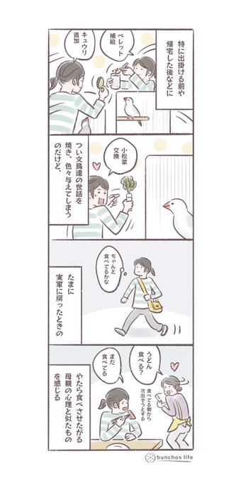 外出するとき、ついつい文鳥達が気になって色々お世話をしてしまう
#文鳥 
#4コマ漫画 

*過去作ダウンロードできます!(固定ツイート参照) 