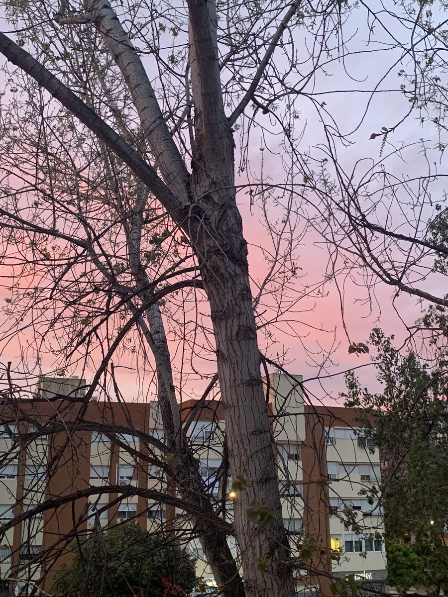 El cielo estaba hoy precioso✨