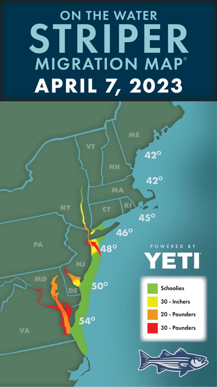 SALTWATER FISH 🎣🐟🐠 on Twitter: