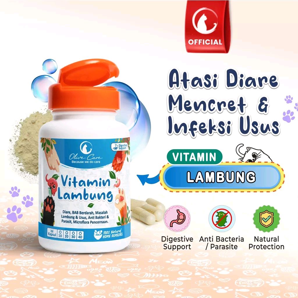 Feby_Feb_By's tweet photo. Cek Olive Care Vitamin Kucing MASALAH PENCERNAAN untuk Diare, Mencret, Pup Berdarah dan Radang Usus dengan harga Rp76.682 - Rp358.872. Dapatkan di Shopee sekarang! https://t.co/suZT9b1DN7 https://t.co/Dsjfhl6gSj