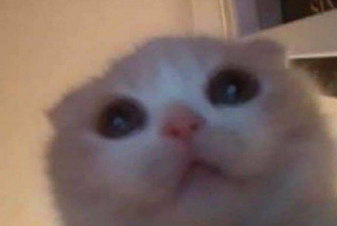 🚨Trouxe novidades: Gentee a nova tecnologia real color da Dona <a href="/vultcosmetica/">Vult</a> não modifica o tom do produto quando aplicado em varios tons de pele 😍 amei demais #SalãoDaDonaVult *publi