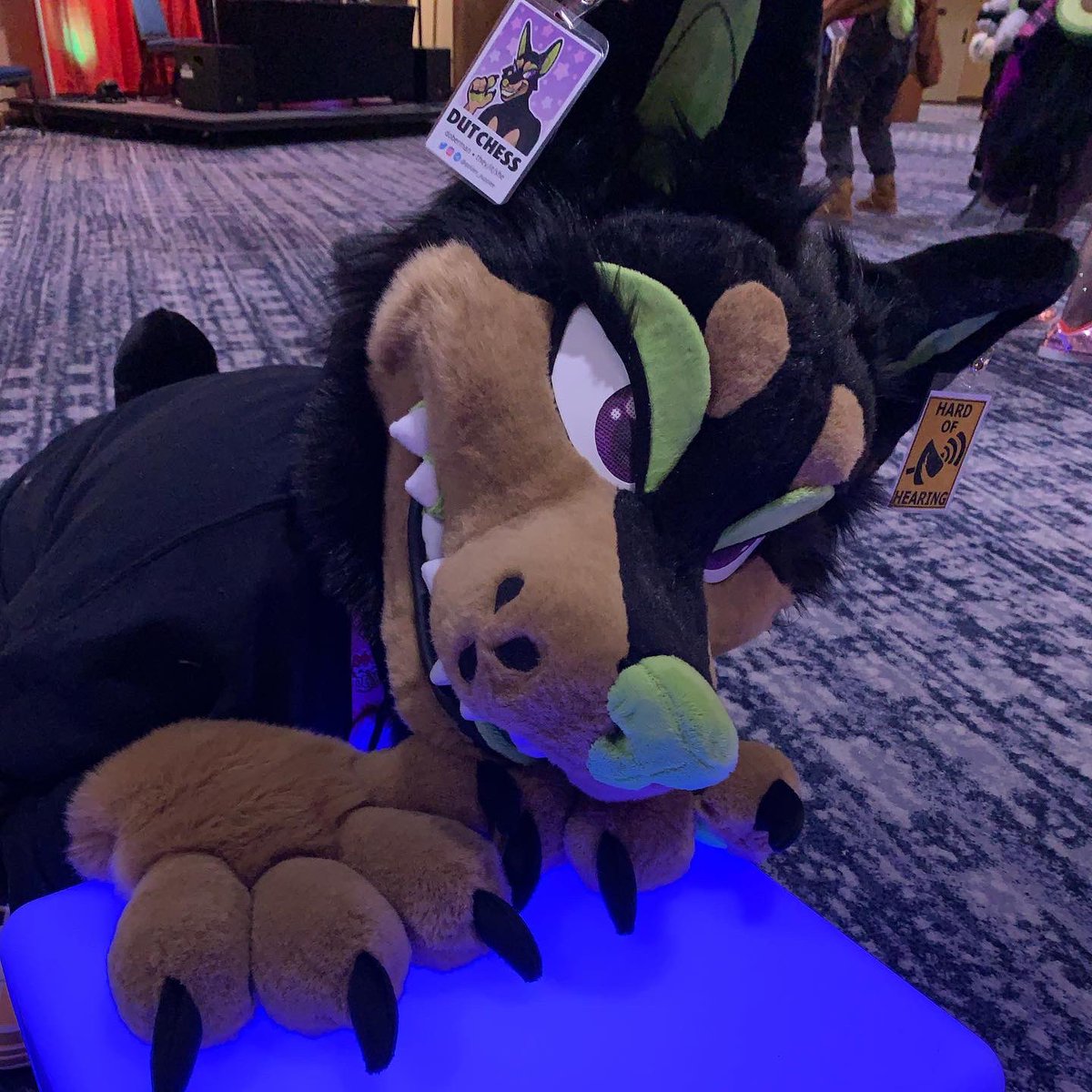 golden_puppiee's tweet photo. choose your hooligan carefully https://t.co/7IZ4CSsRXB
