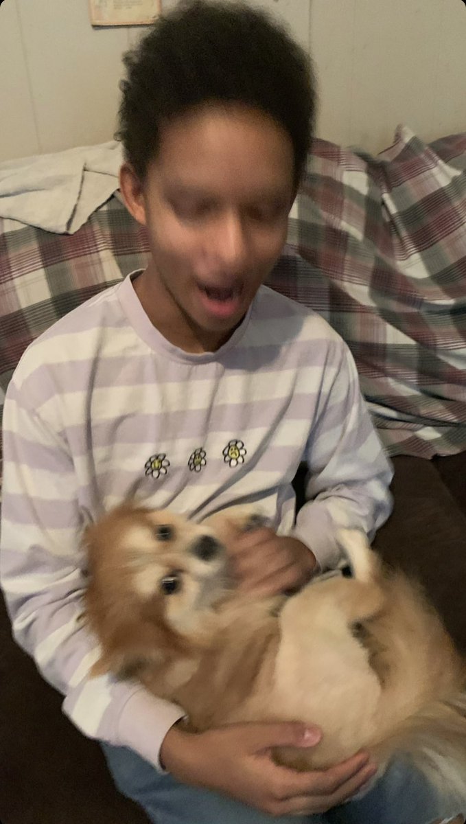 BjorgvinUpdates's tweet photo. Björgvin (@bjorgvinarn) holding a dog 

via Björgvin’s Instagram story https://t.co/0TqNyBR4Wd