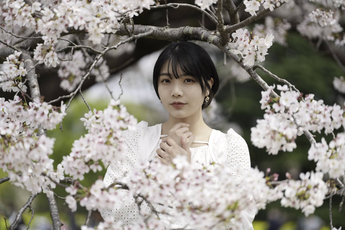 TOSHIPHOTO3's tweet photo. ⠀
桜🌸

蓮見みなさん @mina_hasumi  

#コットン撮影会
#ファインダー越しの私の世界
#ポートレート好きな人と繋がりたい
#ポートレート
#撮影会モデル 
#portrait #portraitphotography 
#portraitmodel
#batis135 https://t.co/u797djOLwW