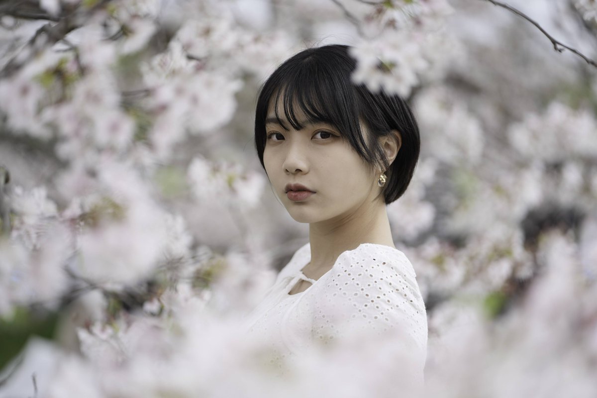 TOSHIPHOTO3's tweet photo. ⠀
桜🌸

蓮見みなさん @mina_hasumi  

#コットン撮影会
#ファインダー越しの私の世界
#ポートレート好きな人と繋がりたい
#ポートレート
#撮影会モデル 
#portrait #portraitphotography 
#portraitmodel
#batis135 https://t.co/u797djOLwW