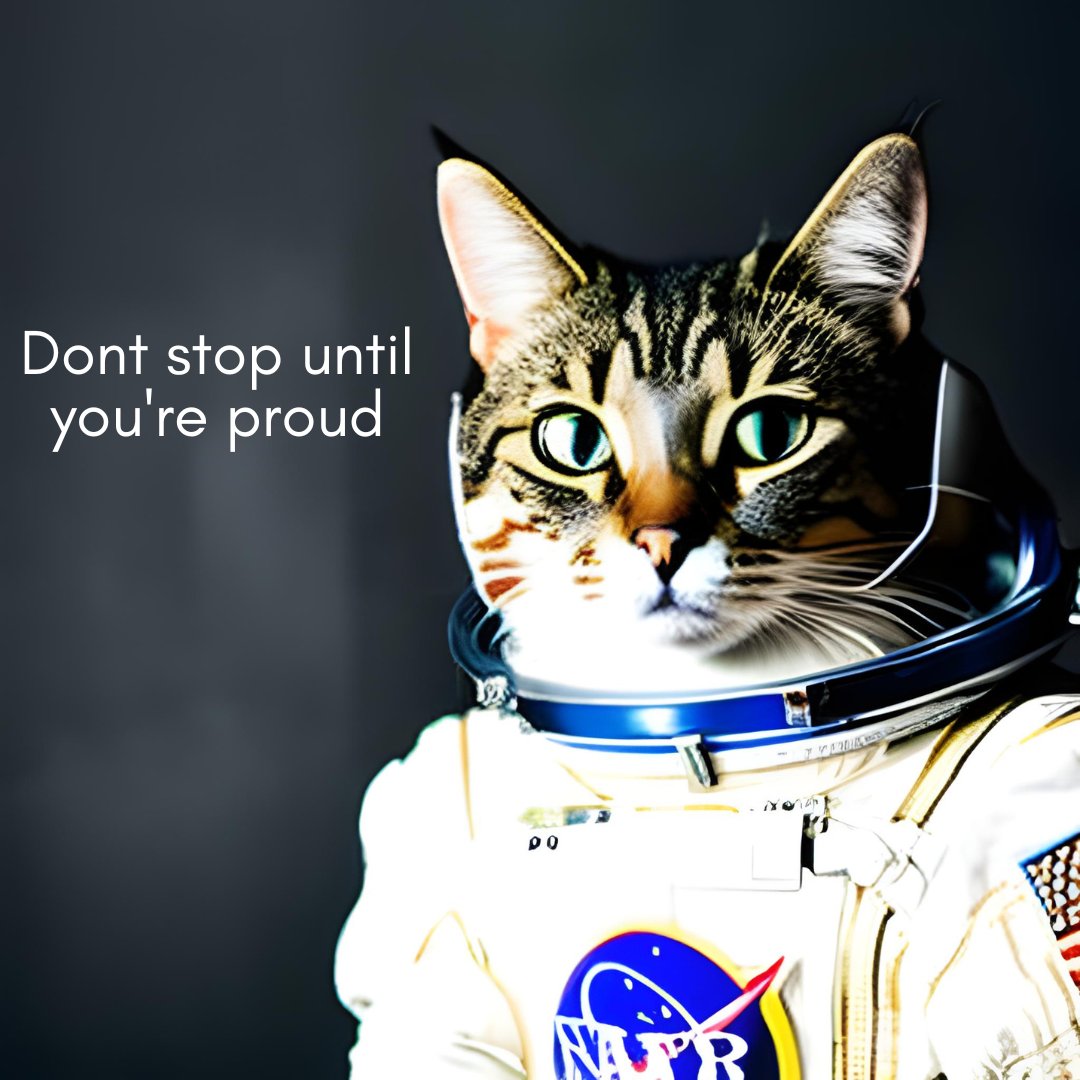 Musicbynaman's tweet image. Don't stop until you're proud🫡

#AstronautCat #CatsofTwittter