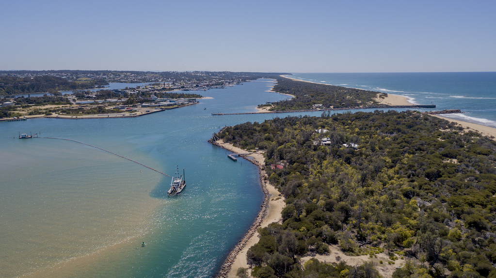 Adventure Junkie tweet media