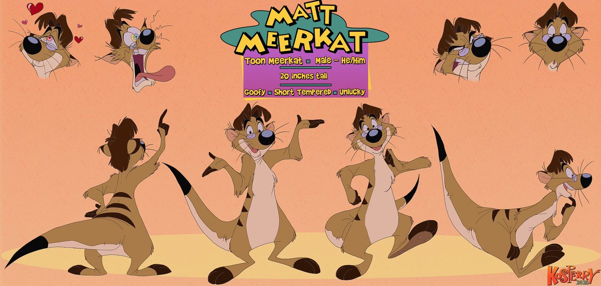 Matt Meerkat tweet media