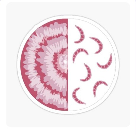 PatePlantSci's tweet photo. Hi, friends! If you'd like to support a grad student (😂)please check out my new designs! All designs are available on shirts, stickers, etc! Just go to my link and click categories to pick a product! I hope yall ❤️them! What should I do next? (More below)
https://t.co/7hmxEwNJfv https://t.co/iDlnywL1xH