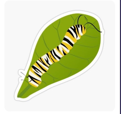 PatePlantSci's tweet photo. Hi, friends! If you'd like to support a grad student (😂)please check out my new designs! All designs are available on shirts, stickers, etc! Just go to my link and click categories to pick a product! I hope yall ❤️them! What should I do next? (More below)
https://t.co/7hmxEwNJfv https://t.co/iDlnywL1xH