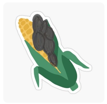 Hi, friends! If you'd like to support a grad student (😂)please check out my new designs! All designs are available on shirts, stickers, etc! Just go to my link and click categories to pick a product! I hope yall ❤️them! What should I do next? (More below)
redbubble.com/people/Shell-b…