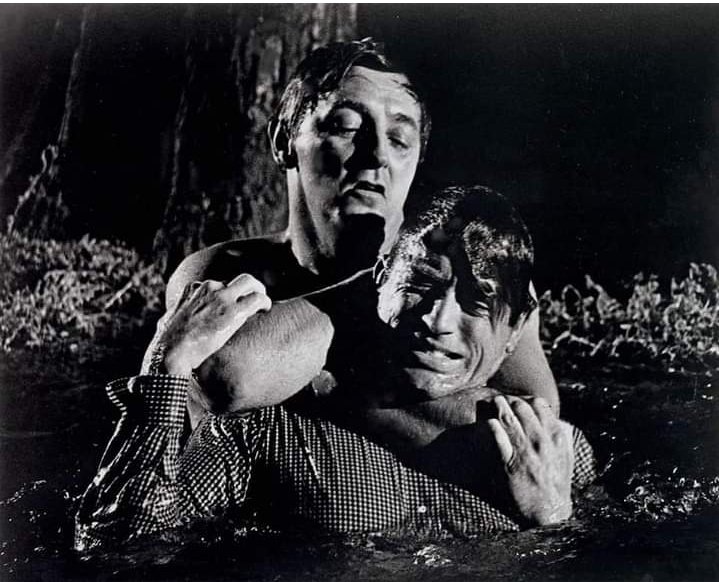 A physically powerful man, Gregory Peck was known to do a majority of his own fight scenes, rarely using body or stunt doubles. Robert Mitchum, his on-screen opponent in 'CapeFear' (1962), said that Peck once accidentally punched him for real during their final fight scene in the