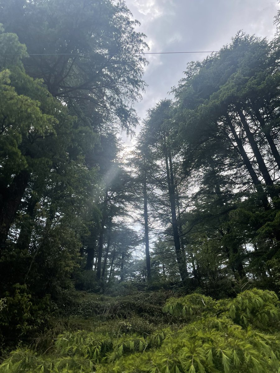 prabhahan's tweet photo. Good Food in the Green Route led to our Pottery Pursuit at Dharamkot Studio
@buildbystl @at_altspace 

#dharamshala #pottery #food #travel #loveitttt https://t.co/0c3aJrQXUM