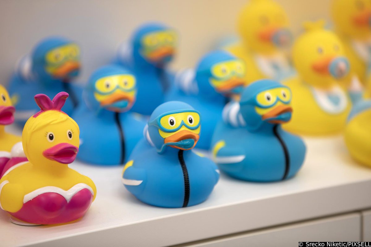 PIXSELL's tweet photo. Dobro jutro / Good Morning / Guten Morgen 🌞 🦆

📸 Srećko Niketić/PIXSELL
#goodmorning #morning #caosvima #jutro #dobrojutro #Travel  #PHOTOS #PhotographyIsArt #photoofthedays #croatia #rubberduck #Duck #toy #igracka #ducks #patkice https://t.co/LH8wS6iZ08